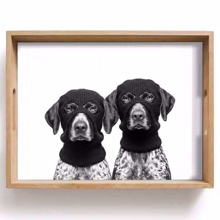 Vassoio - Cani - passamontagna - Nero - bianco — 1