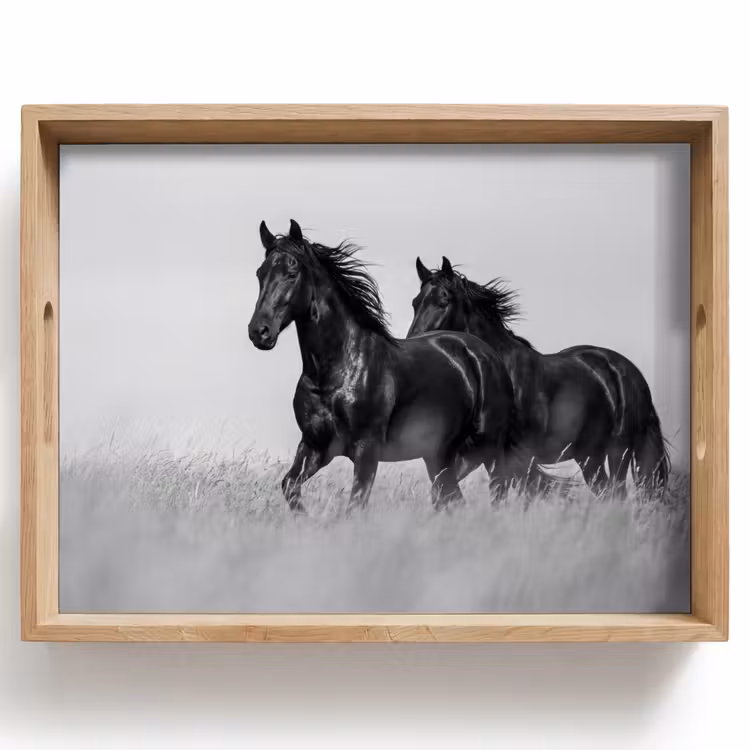 Vassoio - Cavalli - Erba - Nero - Bianco — 1