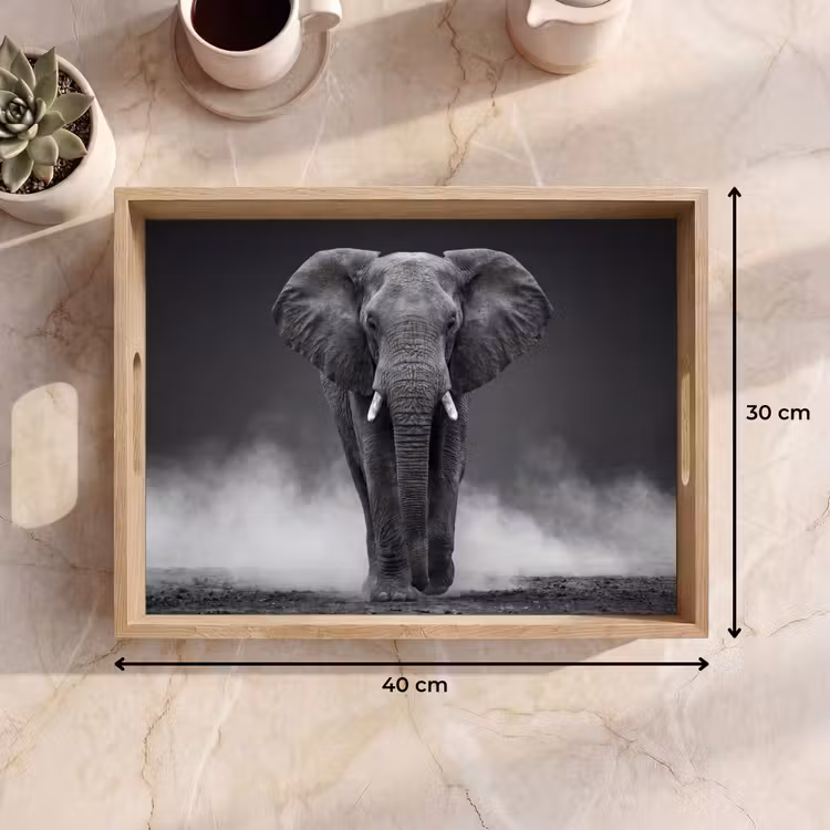 Vassoio - Elefante - Nero - Bianco - Fumo — 7