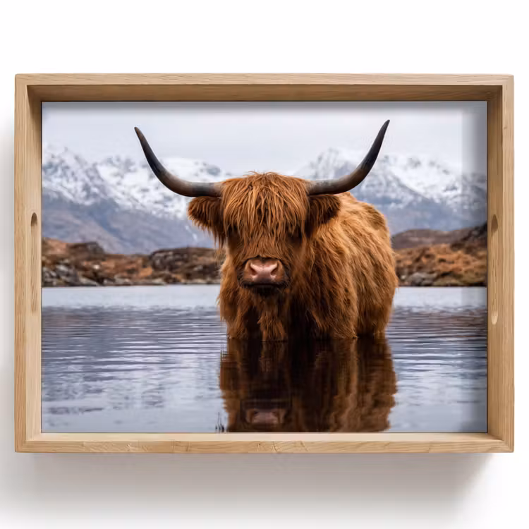 Vassoio - Highlander scozzese - Marrone - Acqua — 1