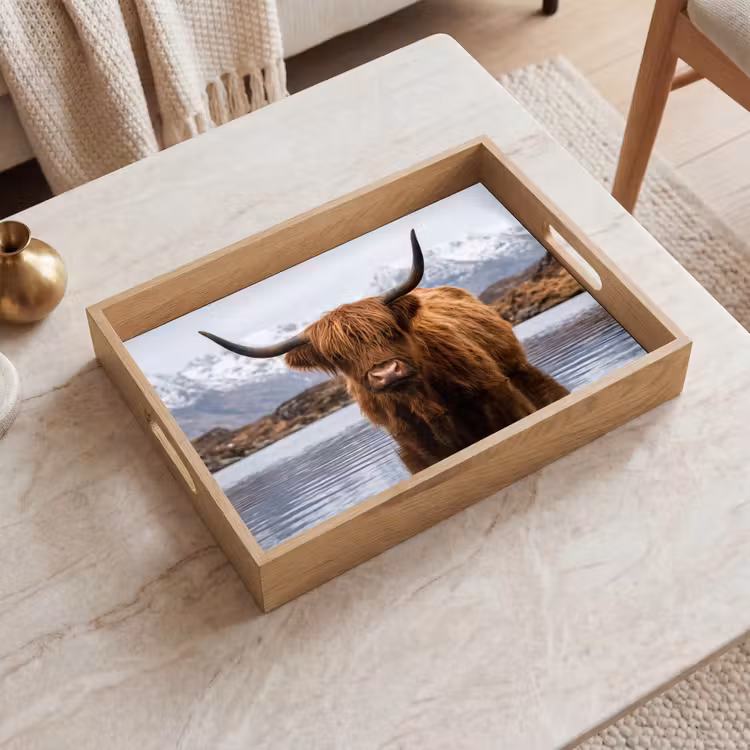 Vassoio - Highlander scozzese - Marrone - Acqua — 2