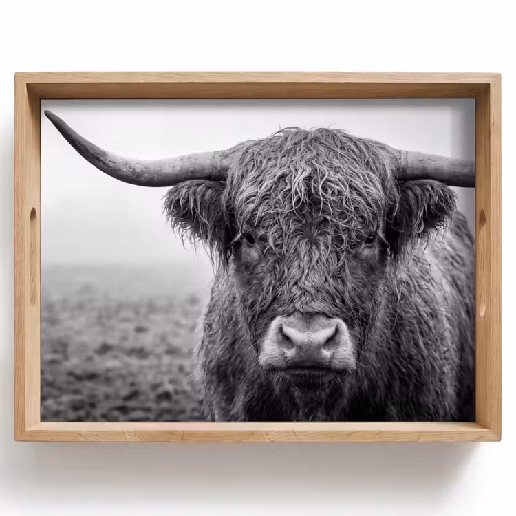 Vassoio - Highlander scozzese - Nero - Bianco - Erba — 1