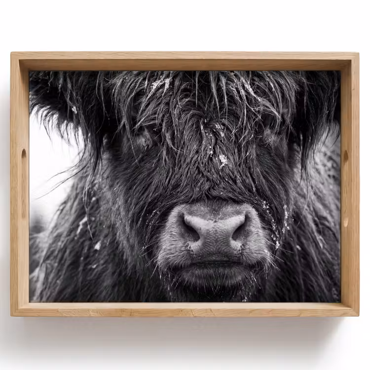 Vassoio - Highlander scozzese - Nero - Bianco - Fiocchi di neve — 1