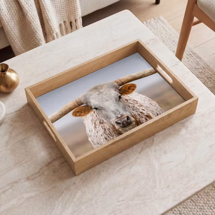 Vassoio - Longhorn - Campo di erba - Animale — 2