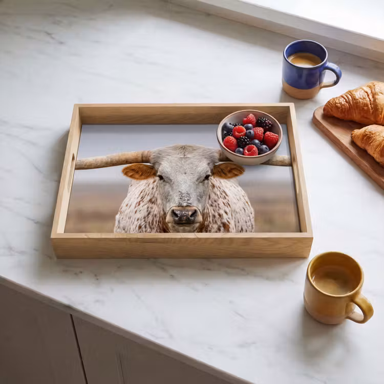 Vassoio - Longhorn - Campo di erba - Animale — 3