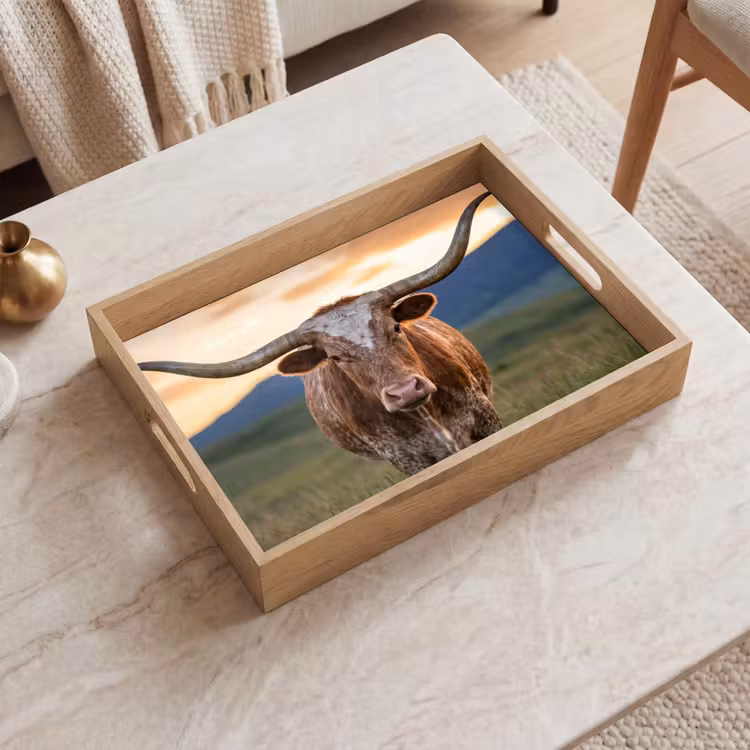 Vassoio - Longhorn - Paesaggio - Tramonto — 2