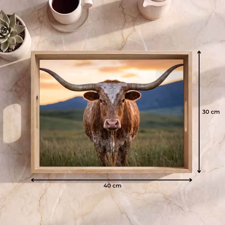 Vassoio - Longhorn - Paesaggio - Tramonto — 7