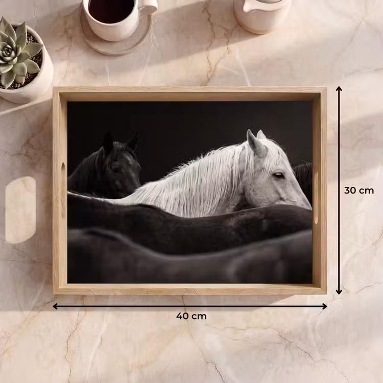 Vassoio - Cavalli - Nero - Bianco - Branco — 7