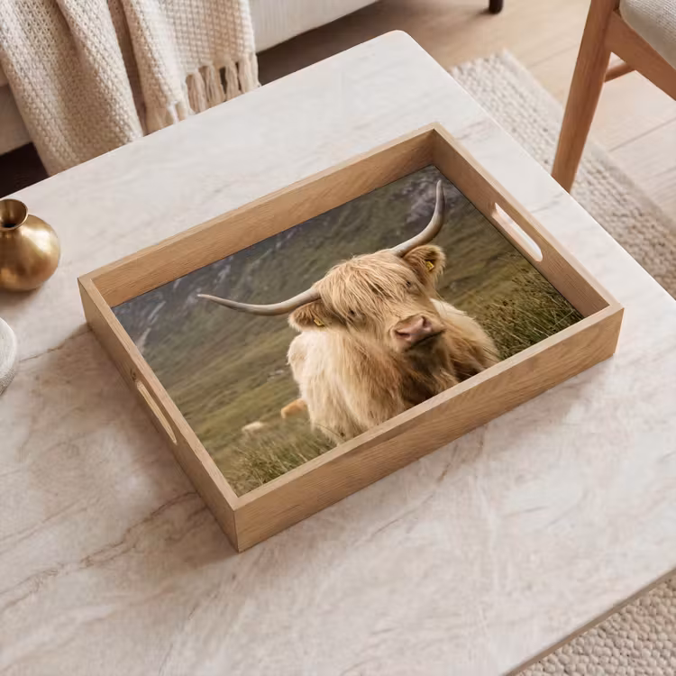 Vassoio - Highlander scozzese - Bergen - Campo d'erba — 2