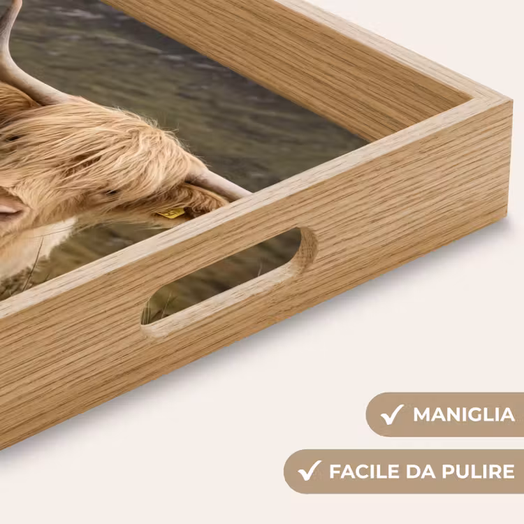 Vassoio - Highlander scozzese - Bergen - Campo d'erba — 8