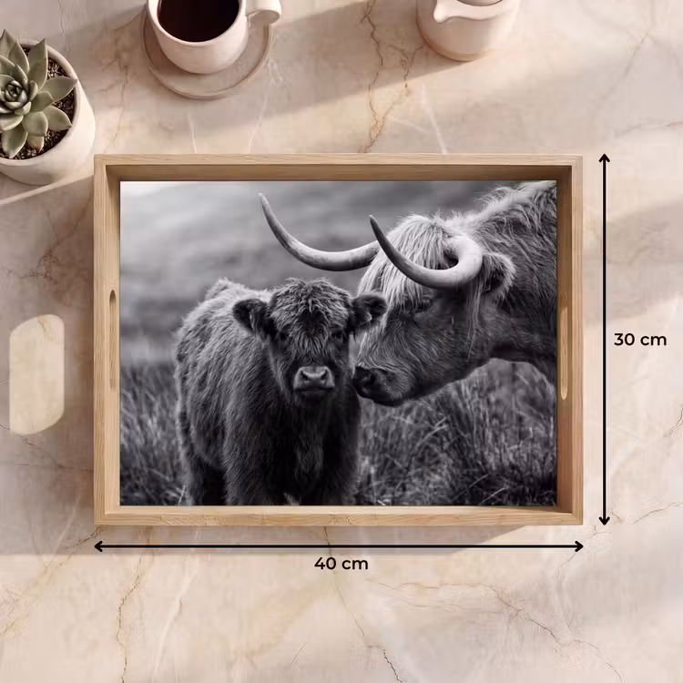Vassoio - Highlander scozzese - Vitello - Nero - Bianco — 7