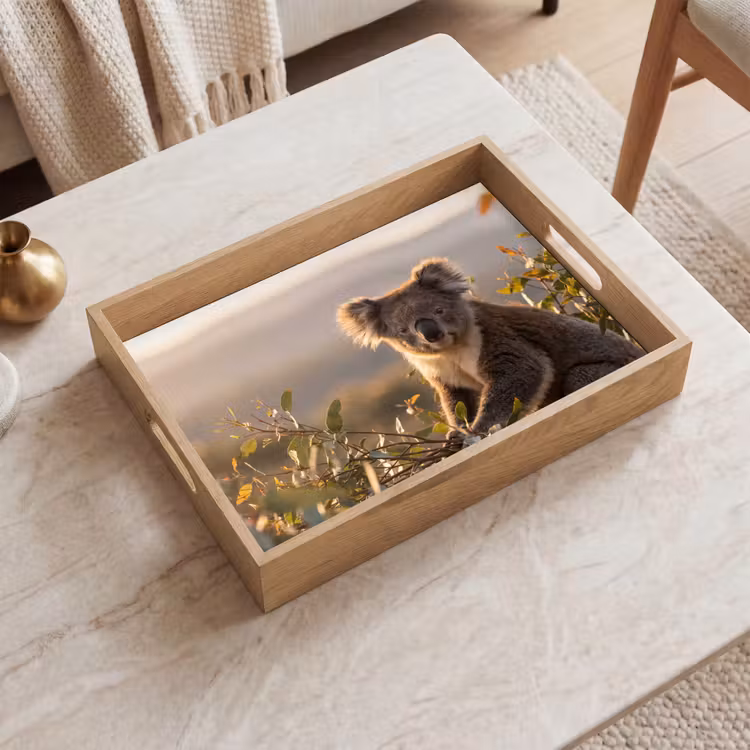 Vassoio - Koala - Foglie - Luce del mattino — 2