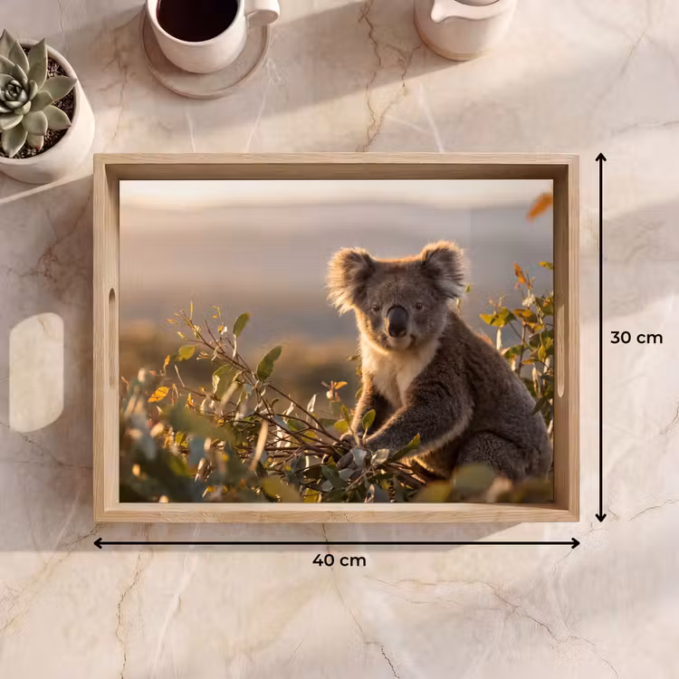 Vassoio - Koala - Foglie - Luce del mattino — 7