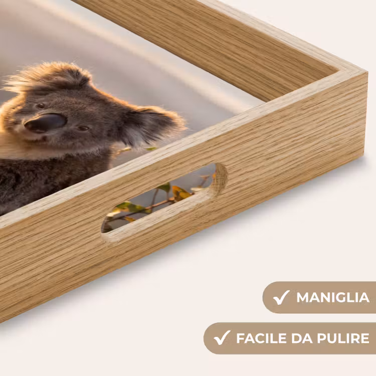 Vassoio - Koala - Foglie - Luce del mattino — 8