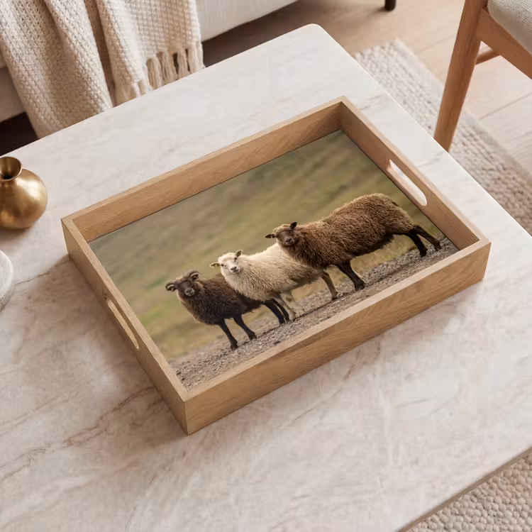 Vassoio - Pecora - Marrone - Bianco - Sentiero di ghiaia — 2