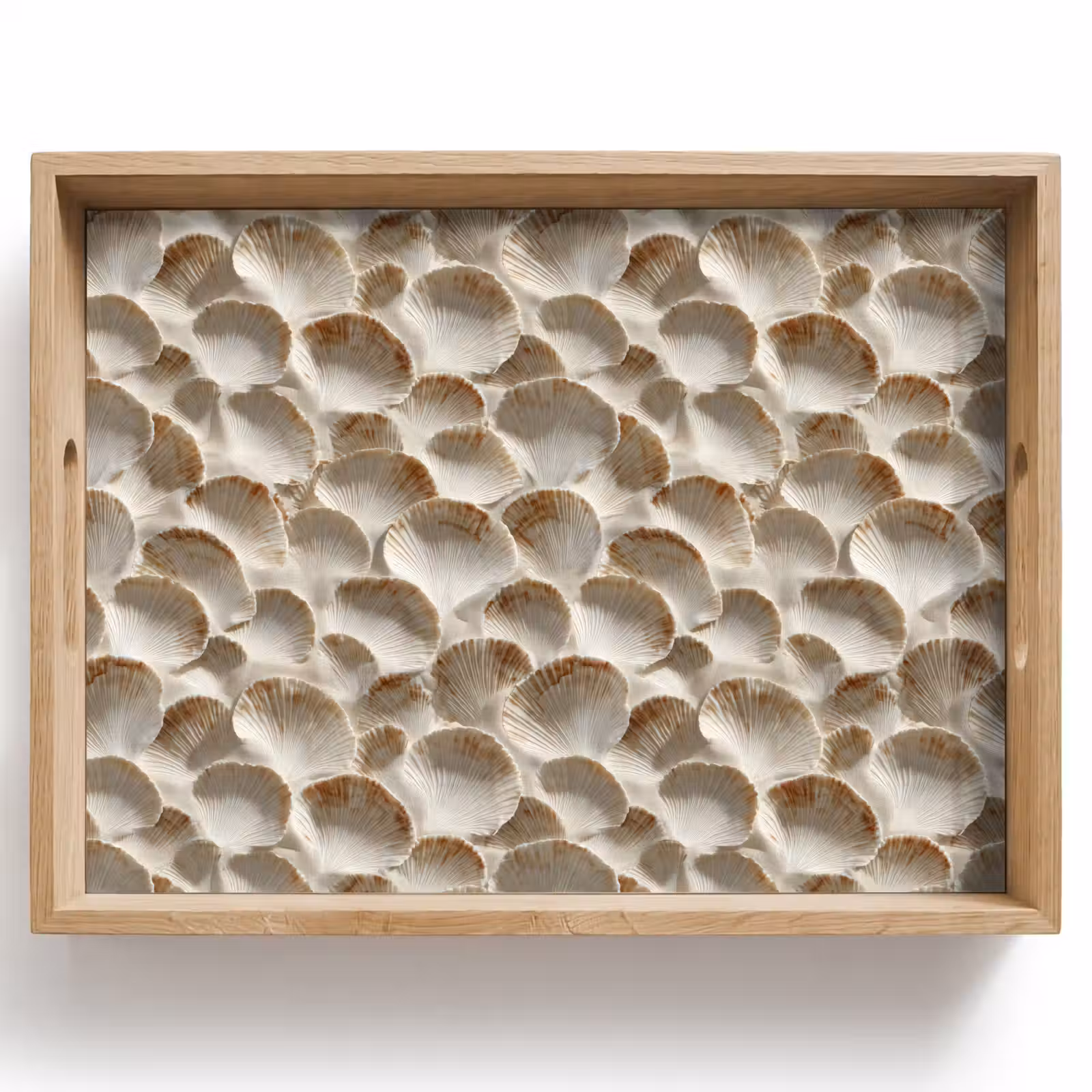 Vassoio - Conchiglie - Forma a ventaglio - Bianco — 1
