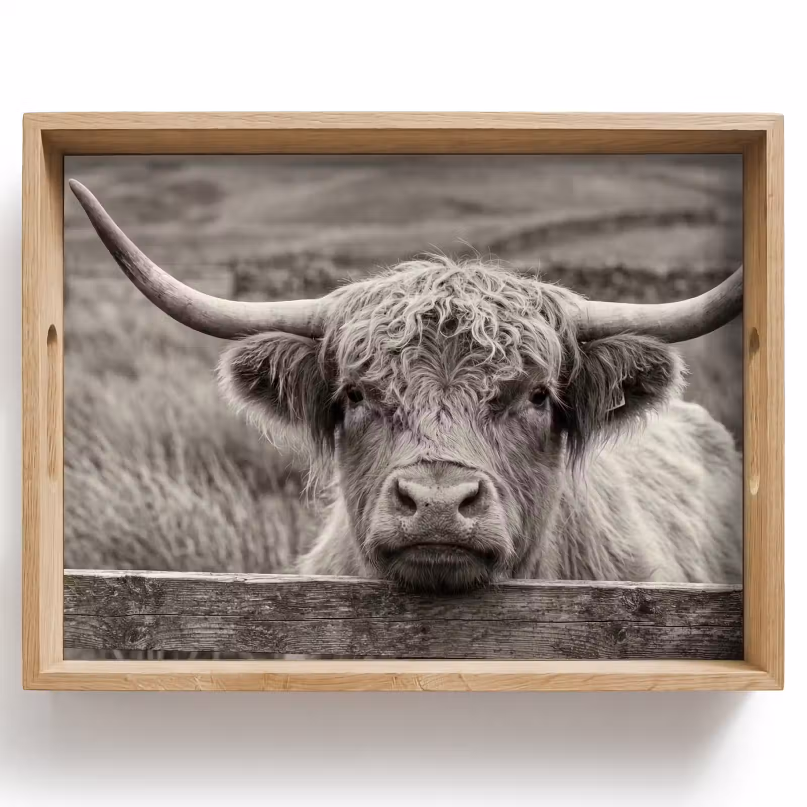 Vassoio - Highlander scozzese - Nero - Bianco - Legno — 1