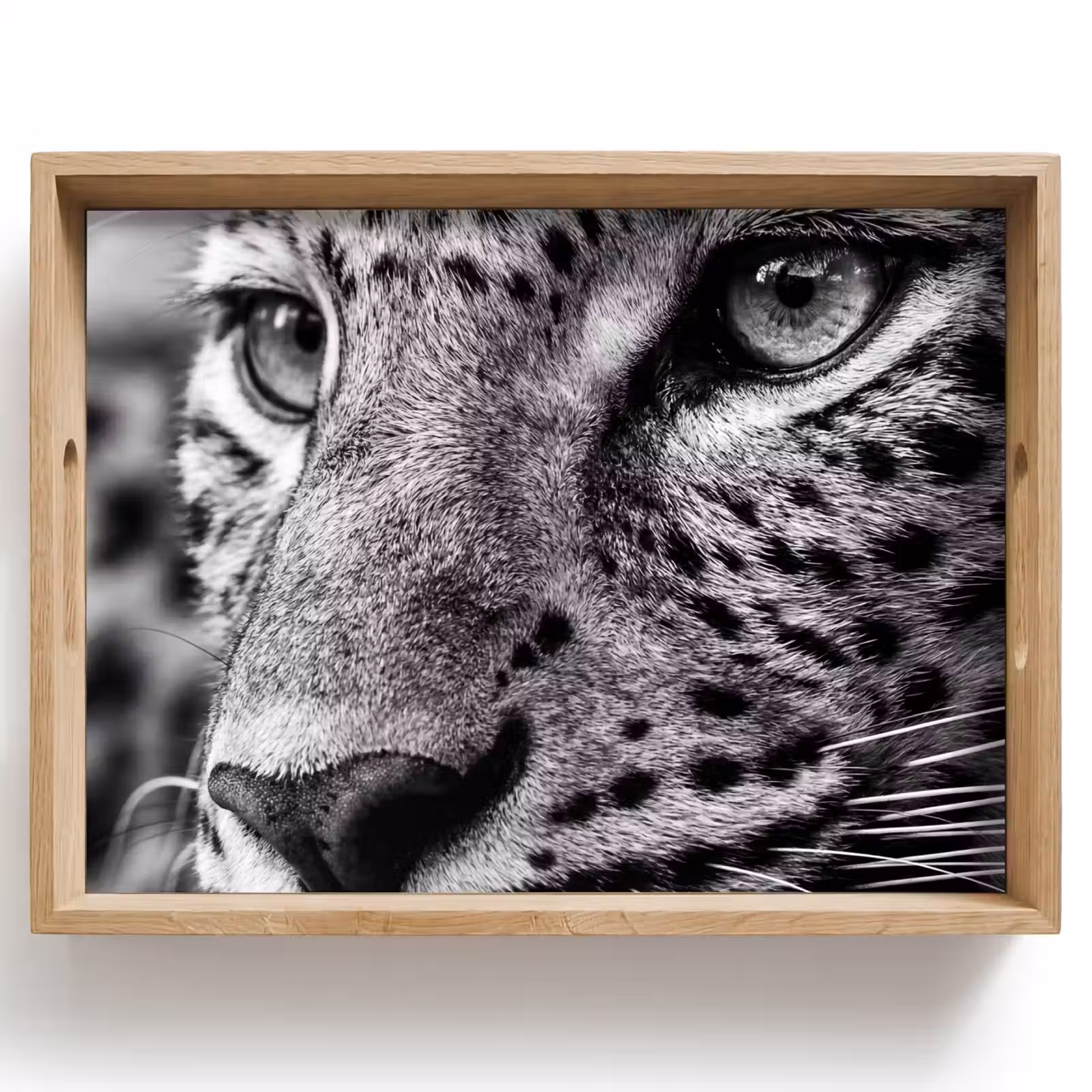 Vassoio - Leopardo - Nero - Bianco - Occhio — 1