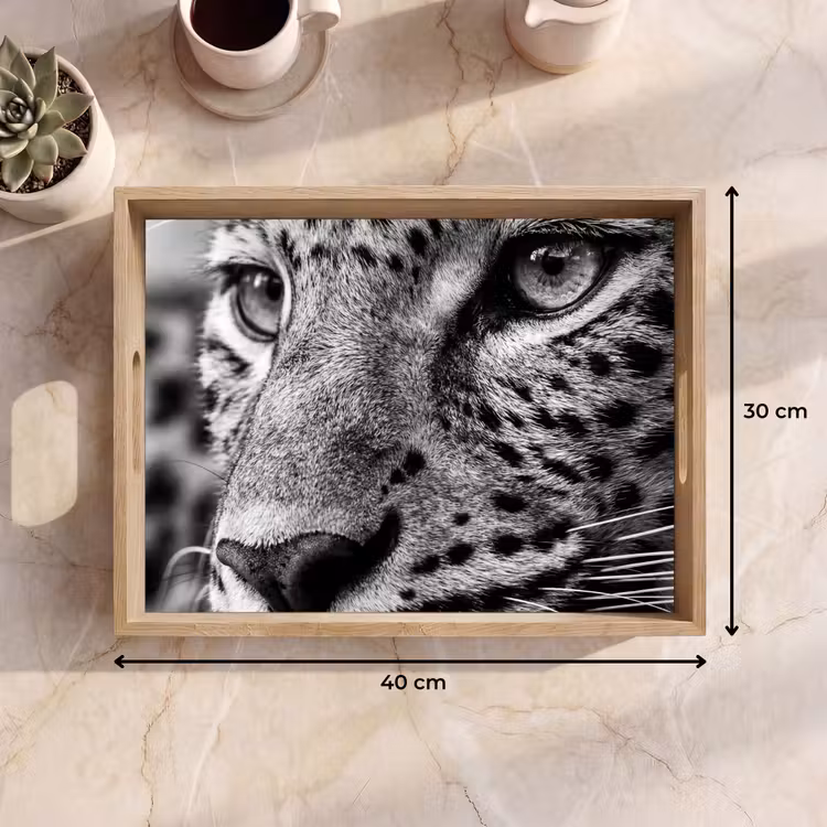 Vassoio - Leopardo - Nero - Bianco - Occhio — 7