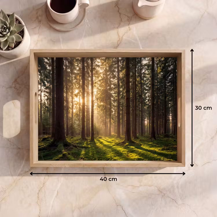 Vassoio - Foresta - Erba - Luce del sole — 7