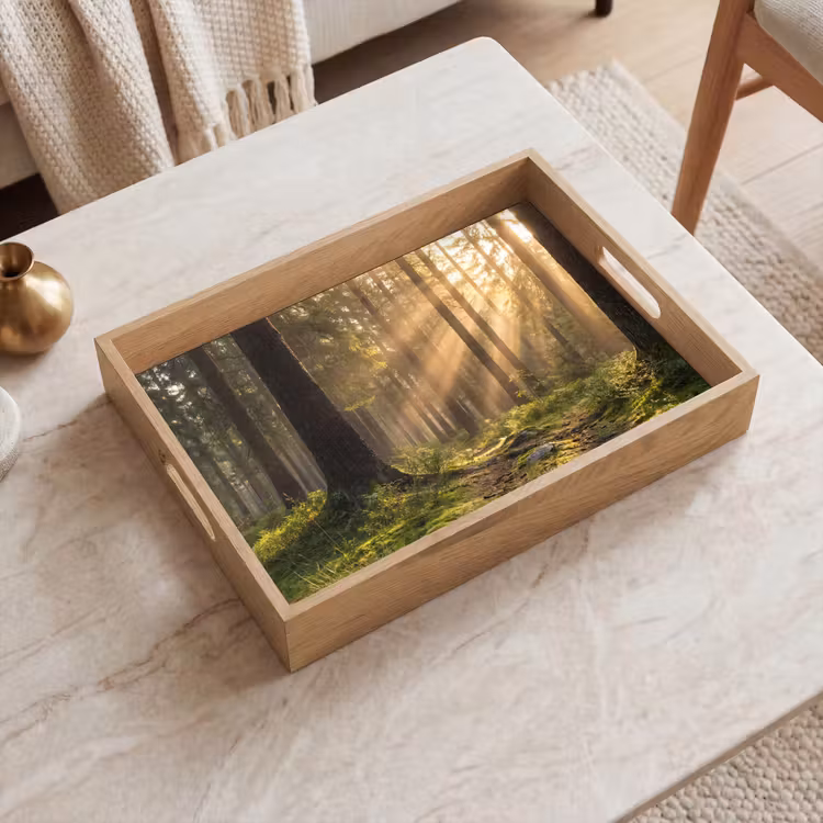 Vassoio - Foresta - Luce solare - Erba — 2