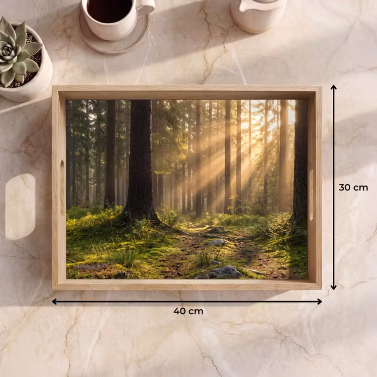 Vassoio - Foresta - Luce solare - Erba — 7