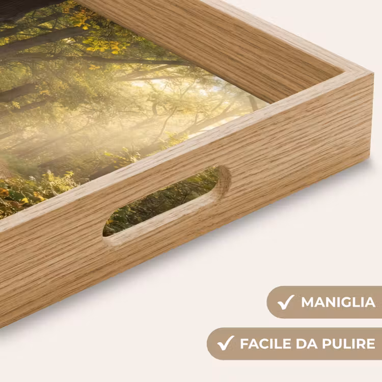 Vassoio - Luce del sole - sentiero forestale - alberi — 8