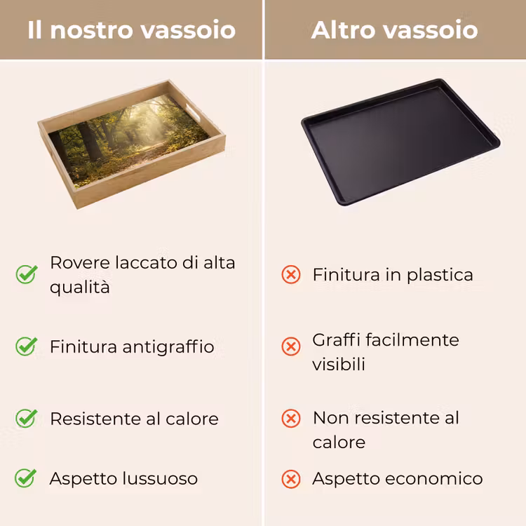 Vassoio - Luce del sole - sentiero forestale - alberi — 9