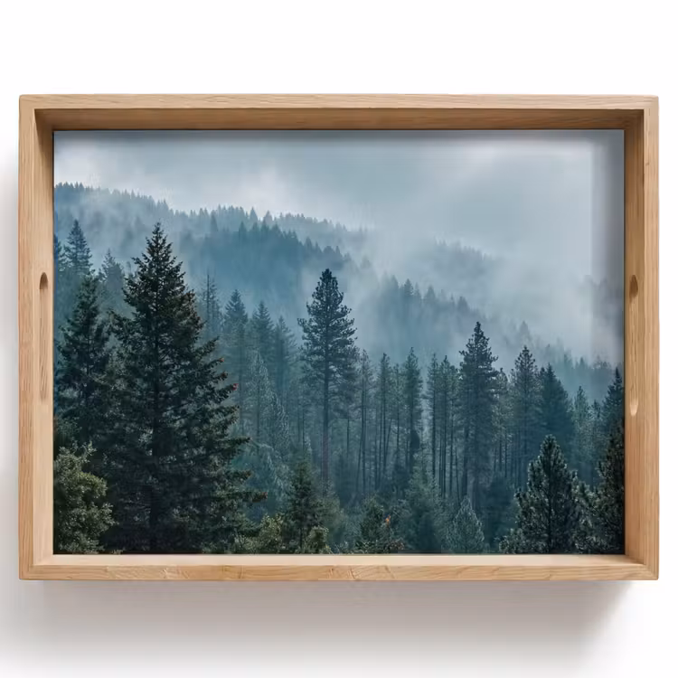 Vassoio - Naaldwoud - Bergen - Nebbia — 1