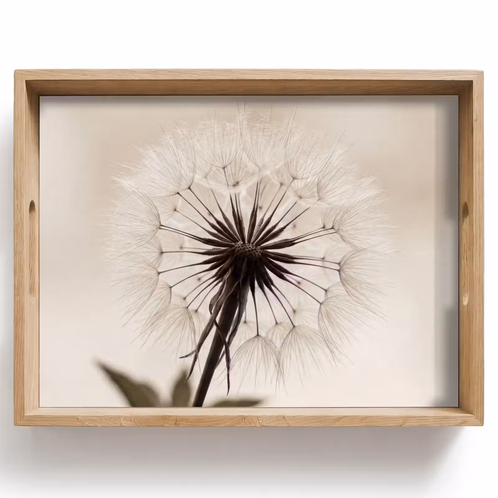 Vassoio - Dandelion - Minimalista - Bianco — 1