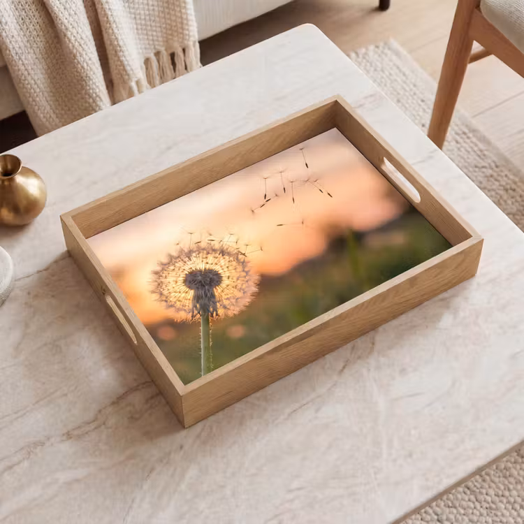 Vassoio - Dente di leone - Tramonto - Campo — 2