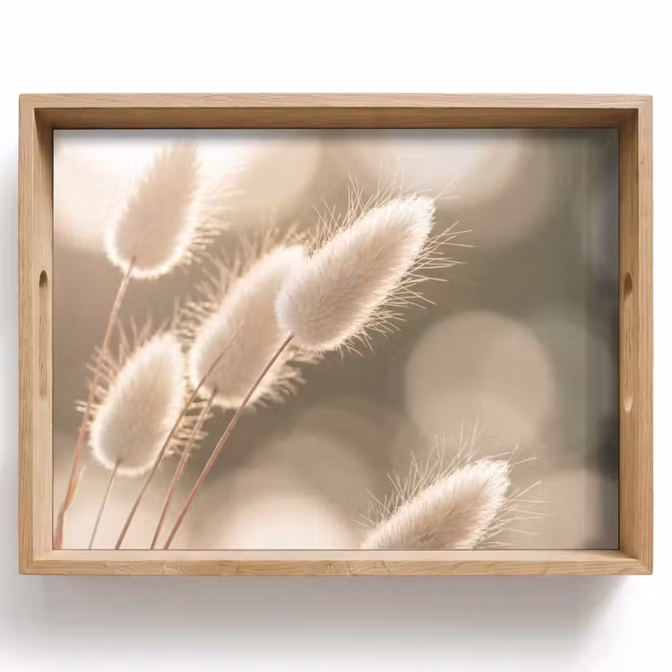 Vassoio - Erba a coda di castoro - Bianco - Luce solare — 1