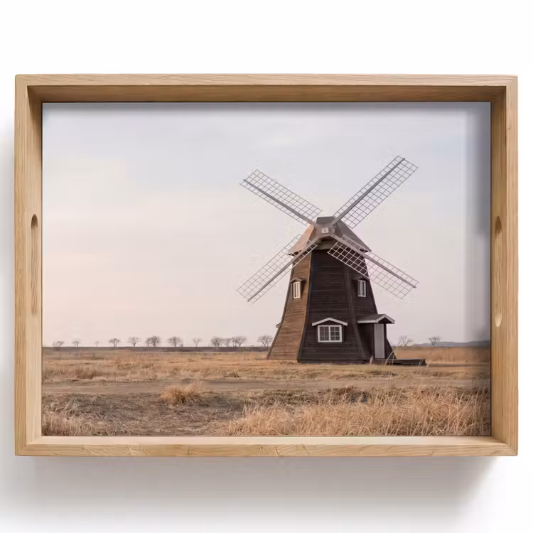 Vassoio - Turbine eoliche - Paesaggio - Campo — 1