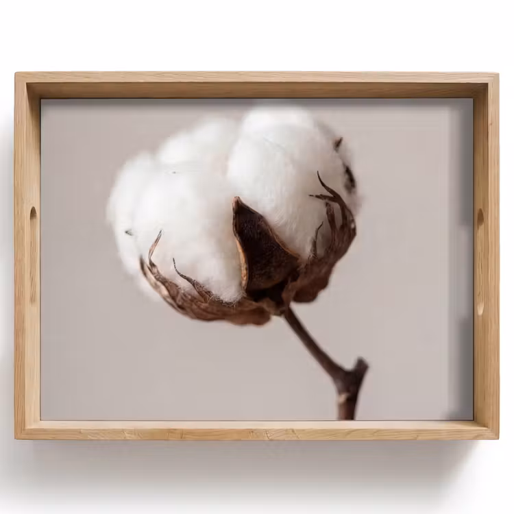 Vassoio - Pallone di cotone - Minimalista - Bianco — 1