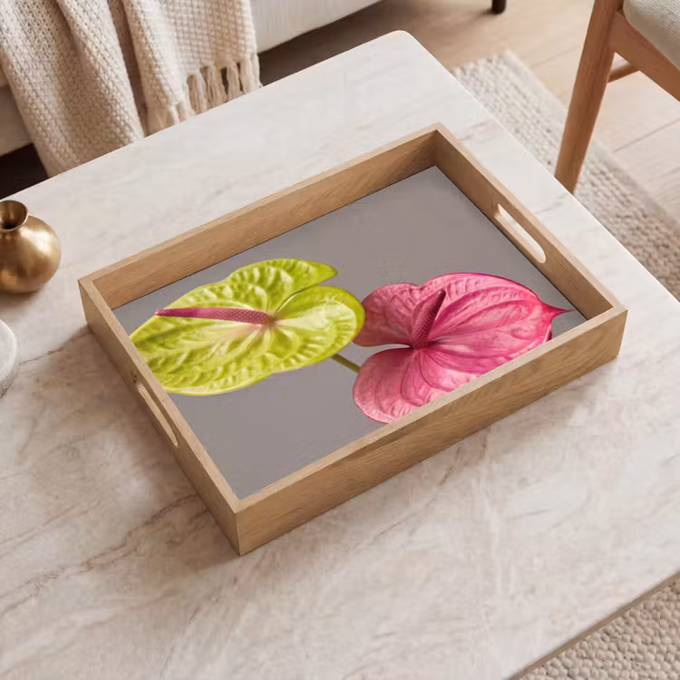 Vassoio - Piante - Anthurium - Verde - Rosa — 2