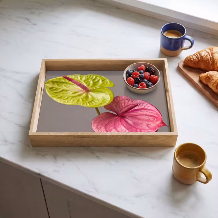 Vassoio - Piante - Anthurium - Verde - Rosa — 3