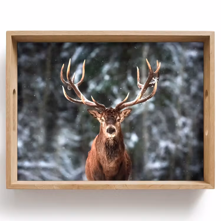 Vassoio - Cervo - Inverno - Neve - Foresta - Natura - Animale — 1