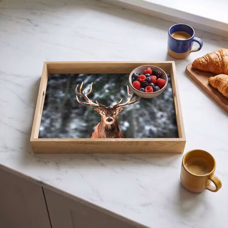 Vassoio - Cervo - Inverno - Neve - Foresta - Natura - Animale — 3