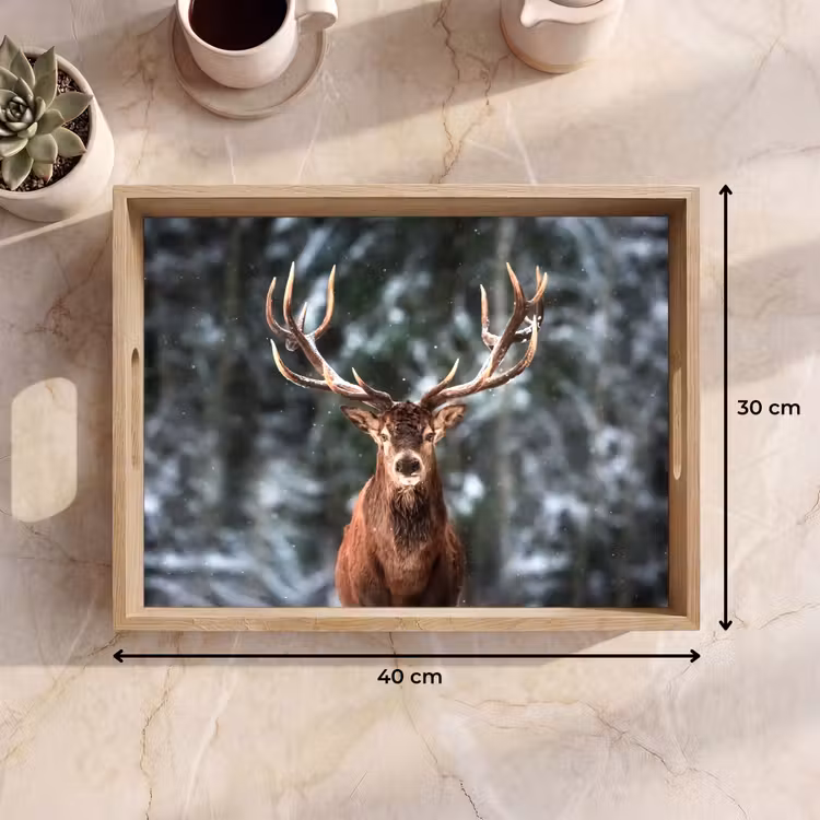 Vassoio - Cervo - Inverno - Neve - Foresta - Natura - Animale — 7