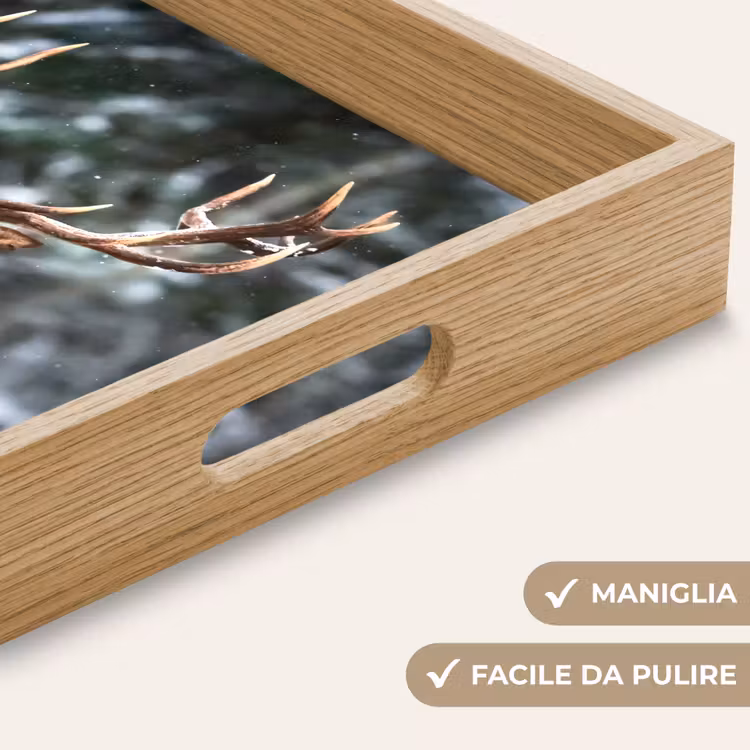 Vassoio - Cervo - Inverno - Neve - Foresta - Natura - Animale — 8