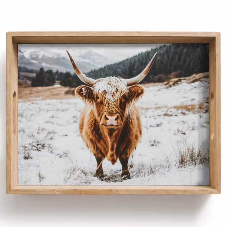 Vassoio - Highlander scozzese - Paesaggio - Neve - Montagne - Inverno — 1