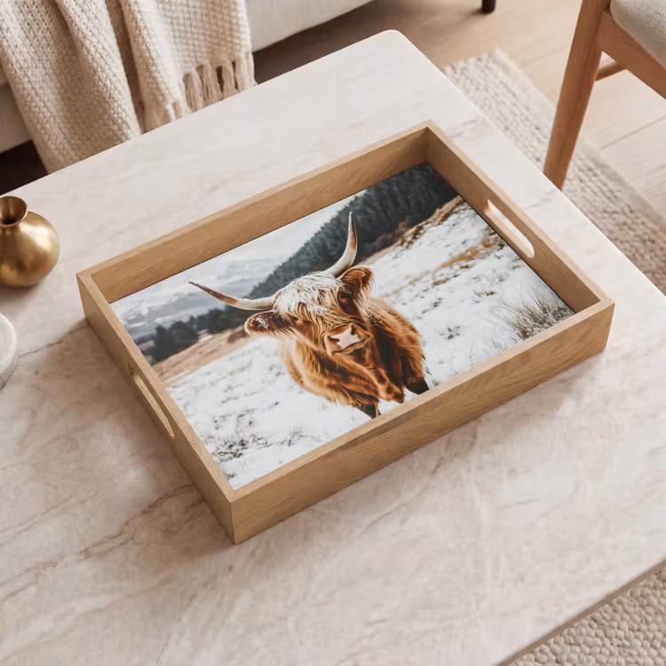 Vassoio - Highlander scozzese - Paesaggio - Neve - Montagne - Inverno — 2