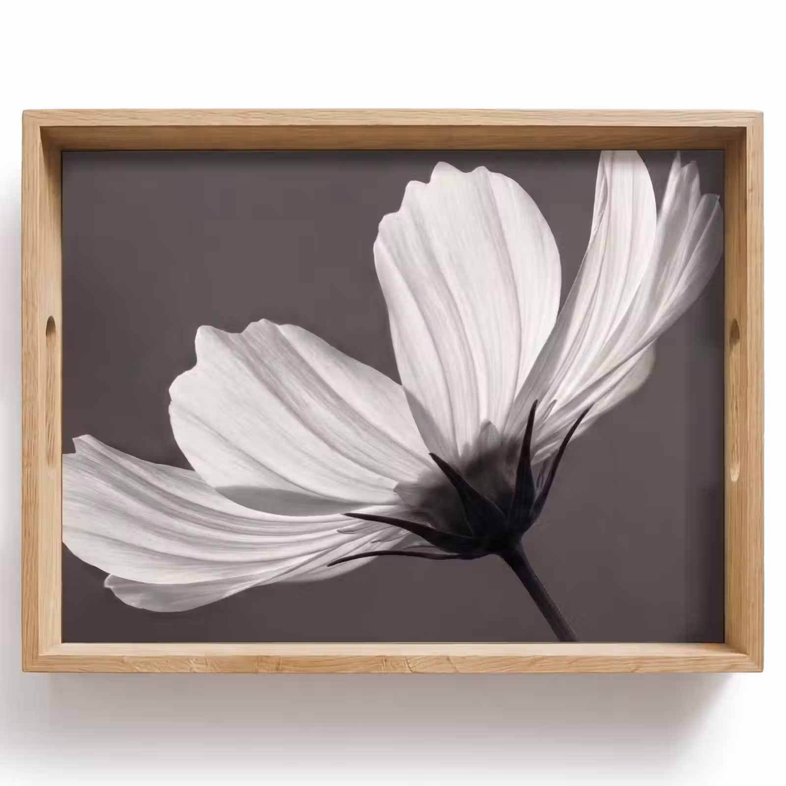 Vassoio - Fiore - Minimalista - Nero - Bianco — 1