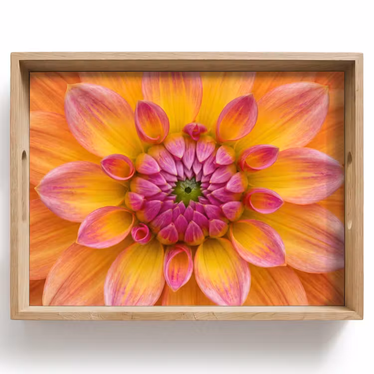 Vassoio - Dalia - Fiore - Arancione — 1