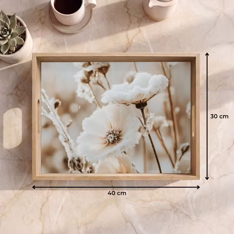 Vassoio - Fiori - Inverno - Bianco - Neve - Beige — 7