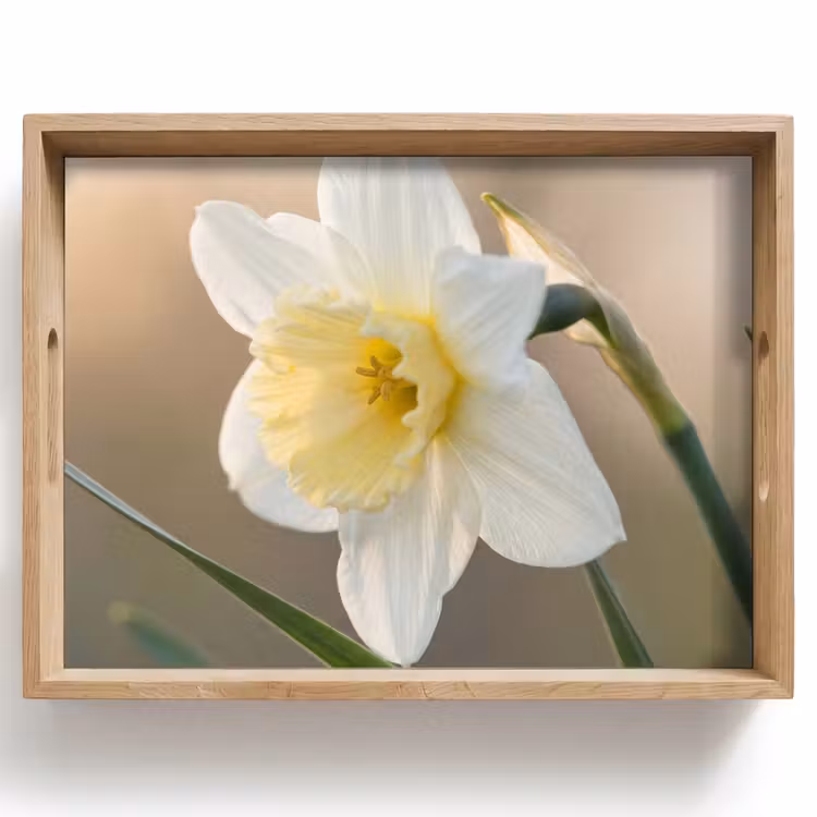 Vassoio - Giunchiglia - Fiore - Minimalista — 1
