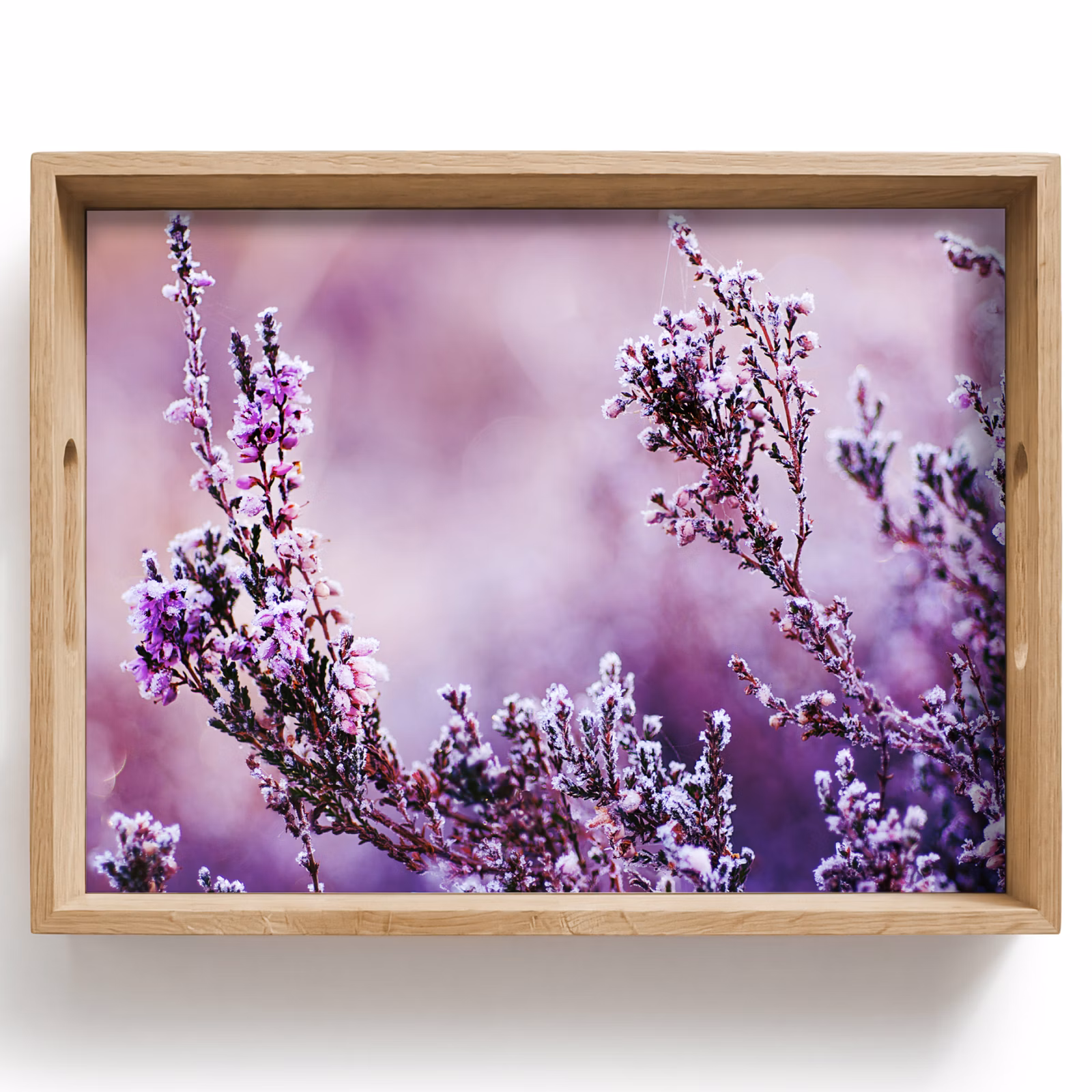 Vassoio - Lavanda - Inverno - Fiori - Viola — 1