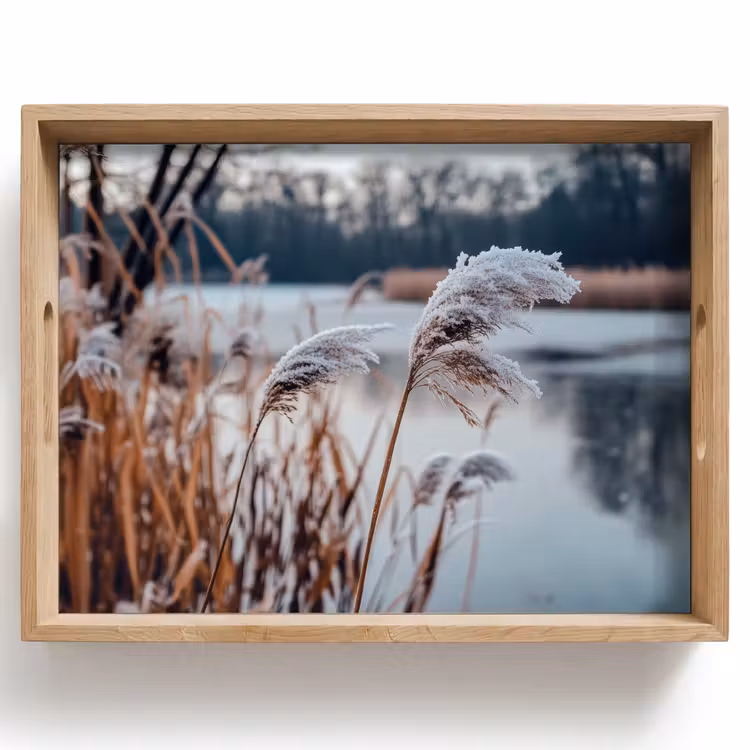 Vassoio - Canna - Erba - Natura - Inverno - Lago — 1