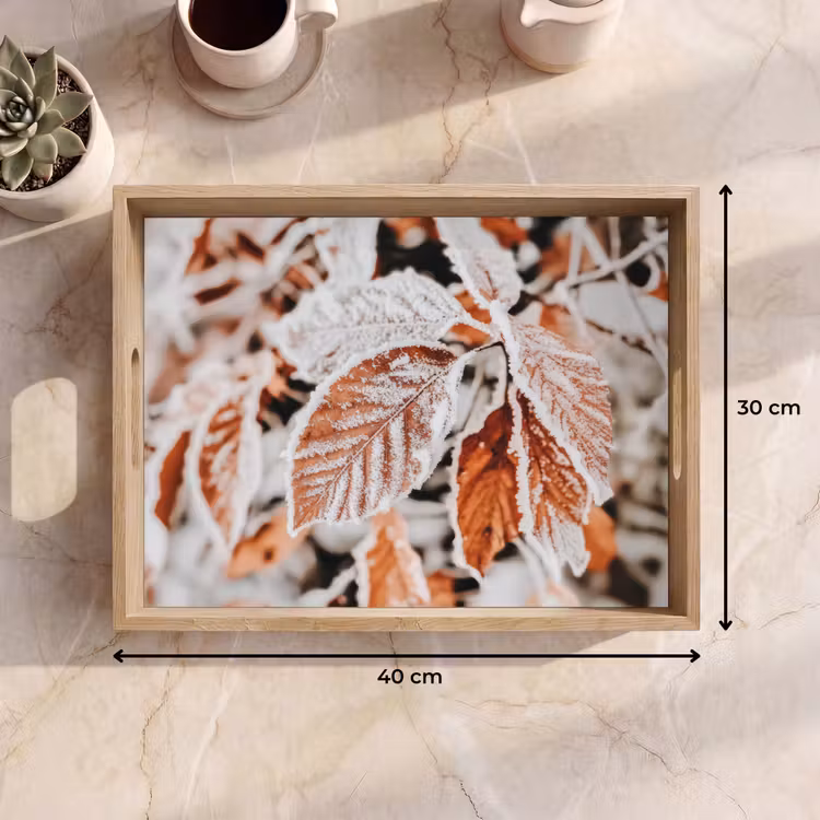 Vassoio - Foglie - Ghiaccio - Inverno - Natura — 7