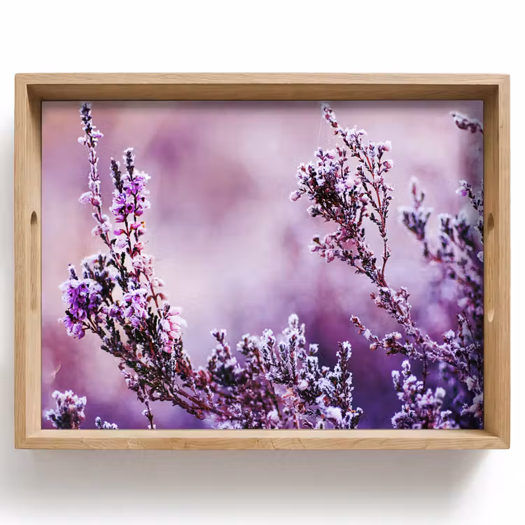 Vassoio - Lavanda - Inverno - Fiori - Viola — 1
